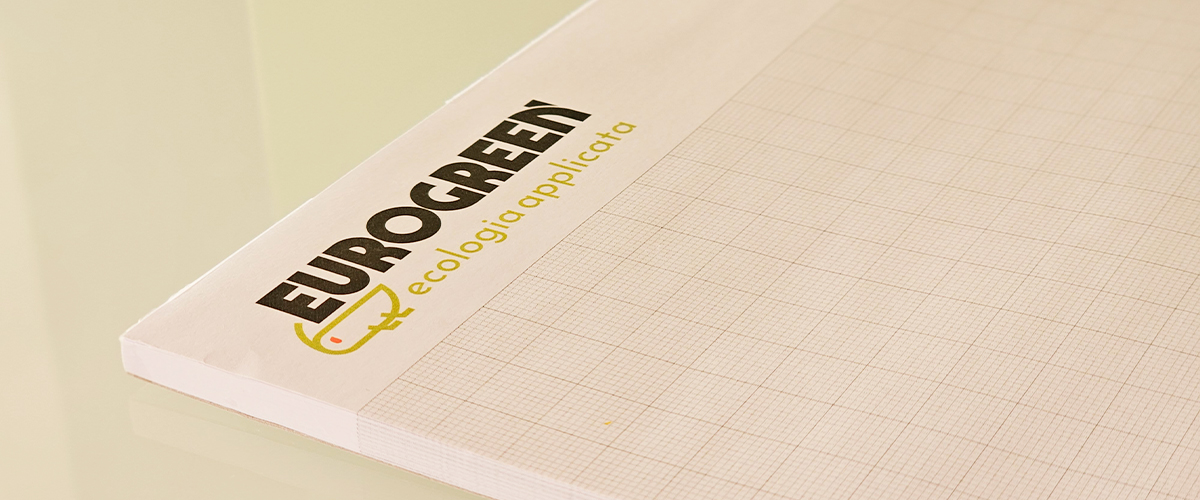 HeaderCarta-intestata